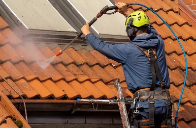 Démoussage et hydrofuge de toiture à Froideterre